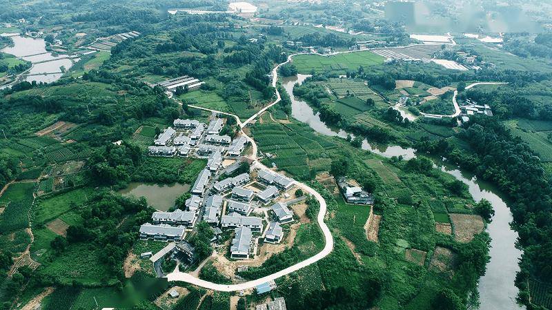 简阳乡村振兴“幸福味”电子pg一口农家菜品出(图6)